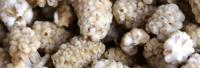 White Mulberry Extract