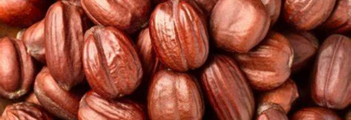 Jojoba Oil